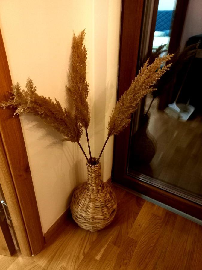 Zlatibor Apartman Luxury & Spa Dijana Екстер'єр фото