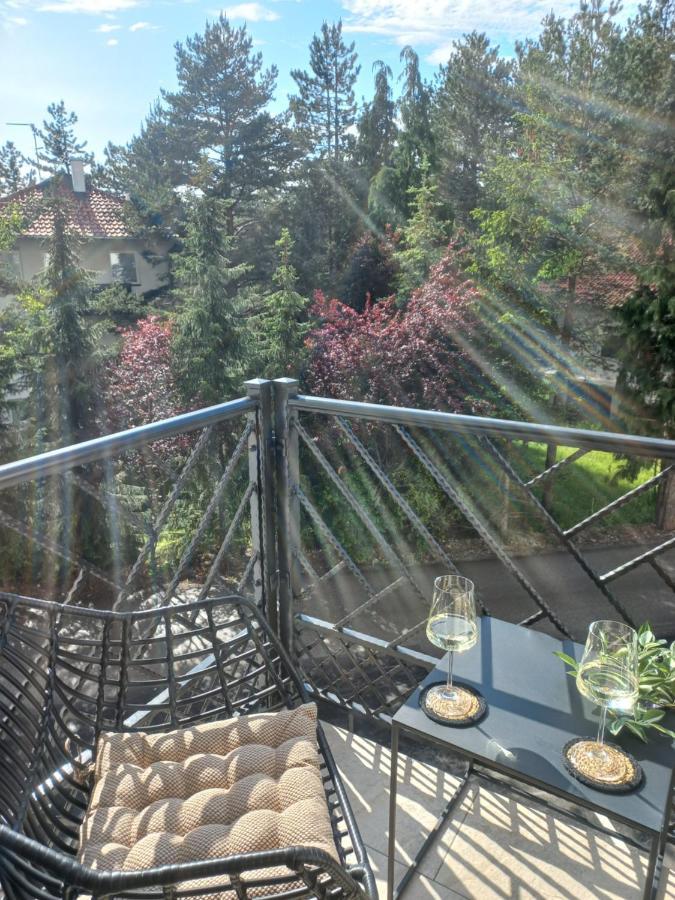 Zlatibor Apartman Luxury & Spa Dijana Екстер'єр фото